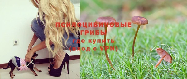 каннабис Верхний Тагил