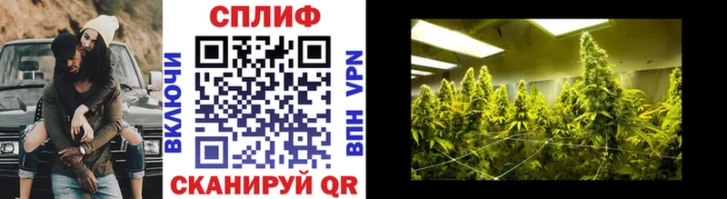 Купить где  Гвардейск  Шишки марихуана VHQ 