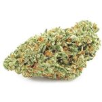 Шишки OG Kush  (Гидропоника, бошки) VHQ в Гвардейске